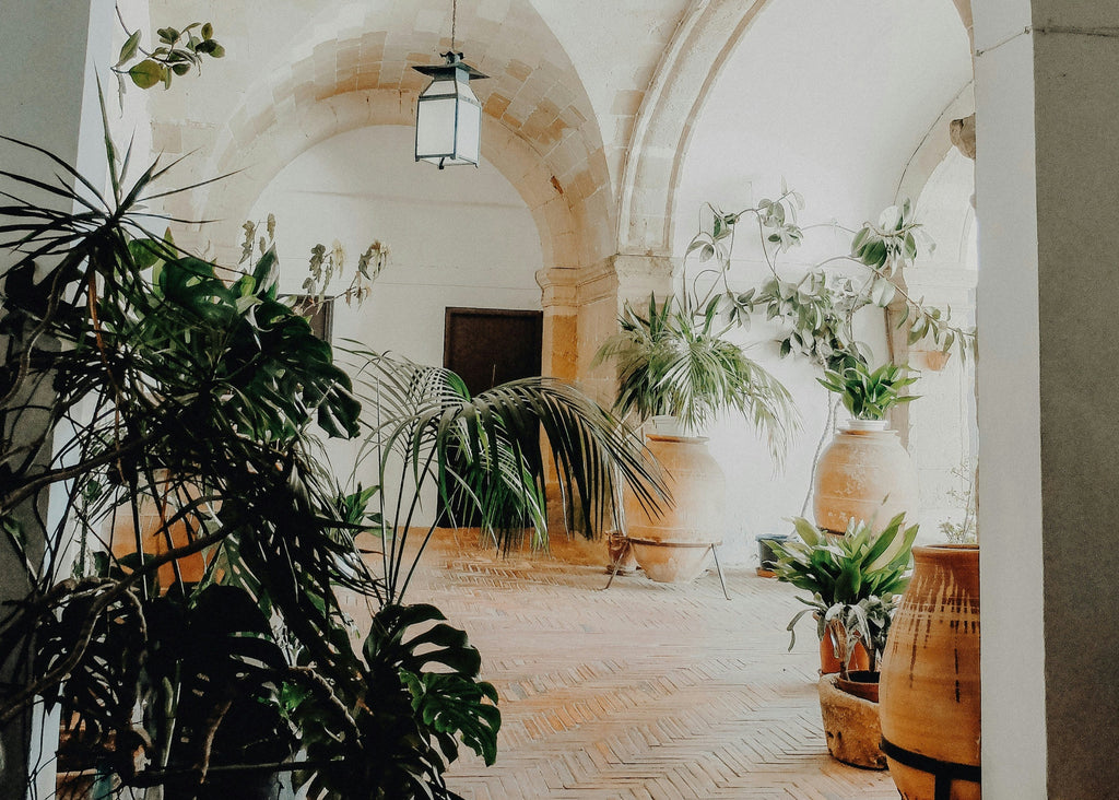 Archway leading to a room with plants and decorative elements